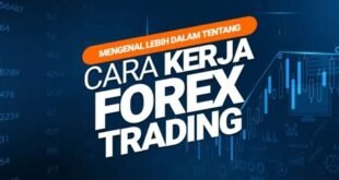 Cara+Kerja+Pasar+Forex+yang+Wajib+Dipahami+Trader+Baru