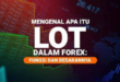 Pengertian Lot dalam Forex dan Cara Menghitungnya