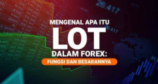 Pengertian Lot dalam Forex dan Cara Menghitungnya